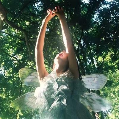 白莲花度假村第二季